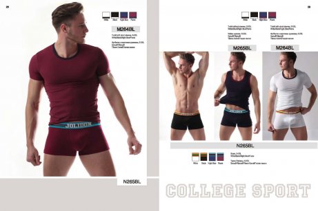CATALOG -MENweb_Stranitsa_16_461x307.jpg